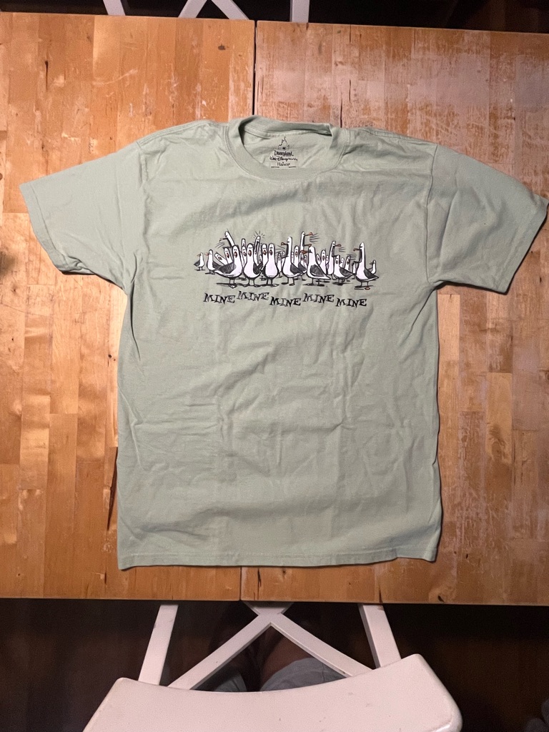 Hanes Light Green Graphic Short Sleeve Tee